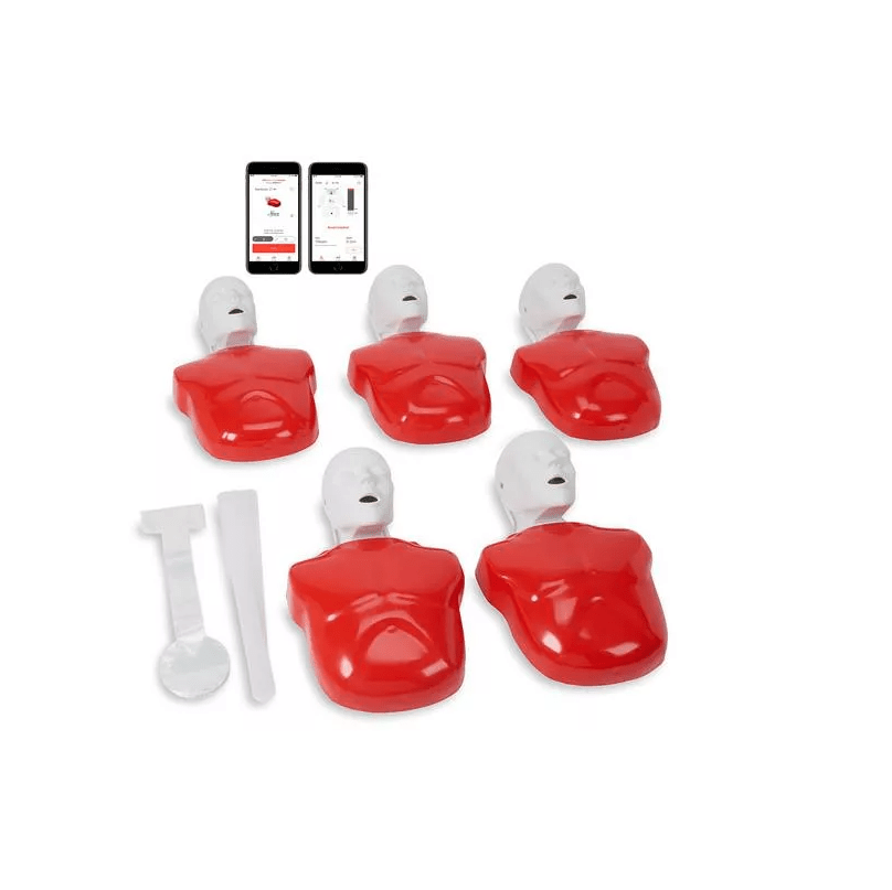 Basic Buddy Plus, 5er Pack - Erler - Zimmer